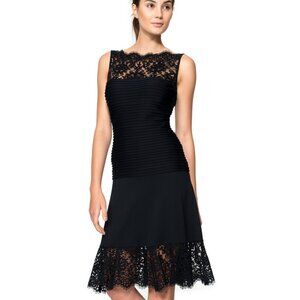 🖤 Tadashi Shoji Pintuck Lace A-Line Dress | Whimsigoth Vibes | PM